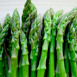 Asparagus Seeds Large Leaf