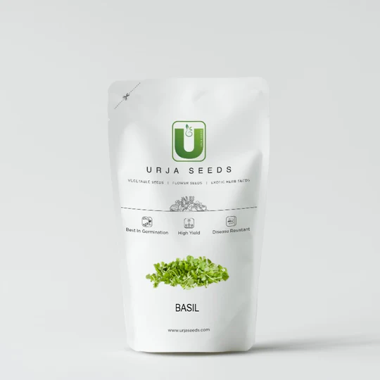 Basil (Green) Kitchen Garden Seeds - Image 2