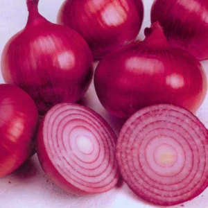 ONION DARK RED
