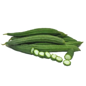 RIDGEGOURD F-1 875 (DARK GREEN)