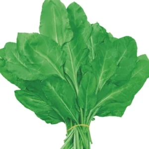 SPINACH AII GREEN