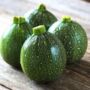 SUMMER SQUASH F-1 (DARK GREEN)
