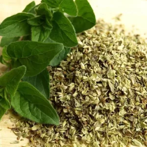 OREGANO