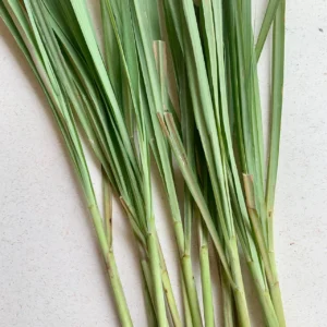 LEMONGRASS