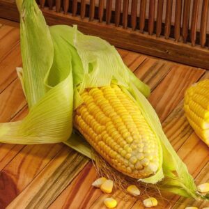 SWEET CORN