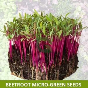 Beetroot